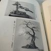 [USED] Antique Book Watanabe Family Bonsai Exhibition Catalog Japan Vintage Japan Store