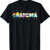 Grandma Of The Birthday Princess Girl Family Matching T Shirt