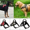 Premium No Pull Adjustable Harness Leash Dog Vest With Durable Lightweight Design For All Breeds