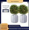 Eco-friendly Oxford Cloth Frost Protection Cover for Green Plants and Fruit Trees