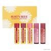 Lip Balm 5-Pack (Strawberry, Pomegranate, Grapefruit, Hibiscus, Rose)