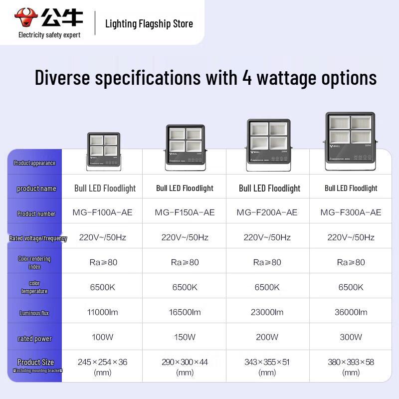 BULL TG03 300W Outdoor LED Floodlight