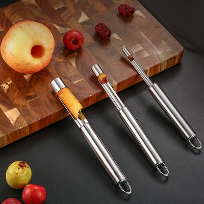 OS Home Steel Jujube Core Removedor de frutas Semente Pitter Separador Gadget Cozinha