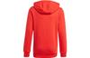 adidas Kids Sweatshirts Hooded Moderate GN4037