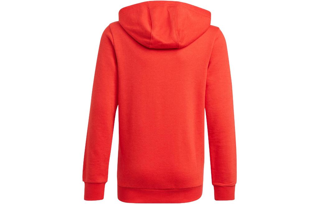 adidas Kids Sweatshirts Hooded Moderate GN4037