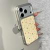 ins Korean full screen color floral application Apple 17Promax mobile phone case IP16 Epoxy water condensation 15pro set