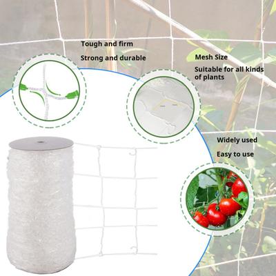 Pflanzenkletter-Netzrolle für Gartenpflanzen Weißes Ranknetz Outdoor-Maschenstütze Rankgitter