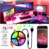 LED Işık Şeridi Bluetooth APP Uzaktan Müzik Kontrol Renkleri Parti Ev için Uzaktan Kumanda ile Esnek LED Şerit Işıklar 0.5-10 M