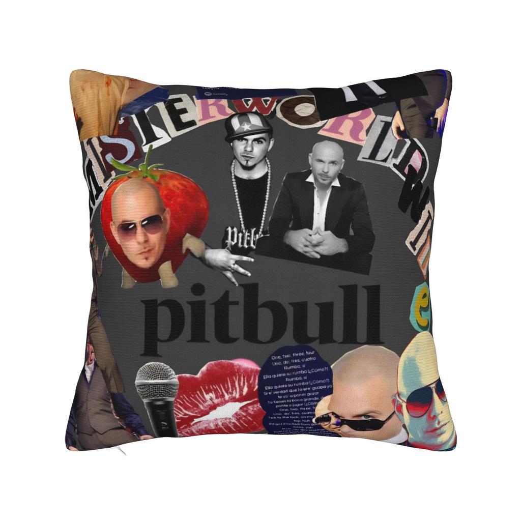 Decorative Pillowcase Singer Pitbull Tour Stuff Bed Throw Pillow Case Cover Square Style Multiple Sizes