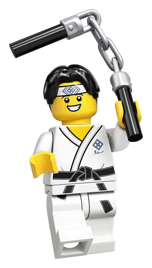 LEGO 71027 Minifigure Collection Series 20 Random Package