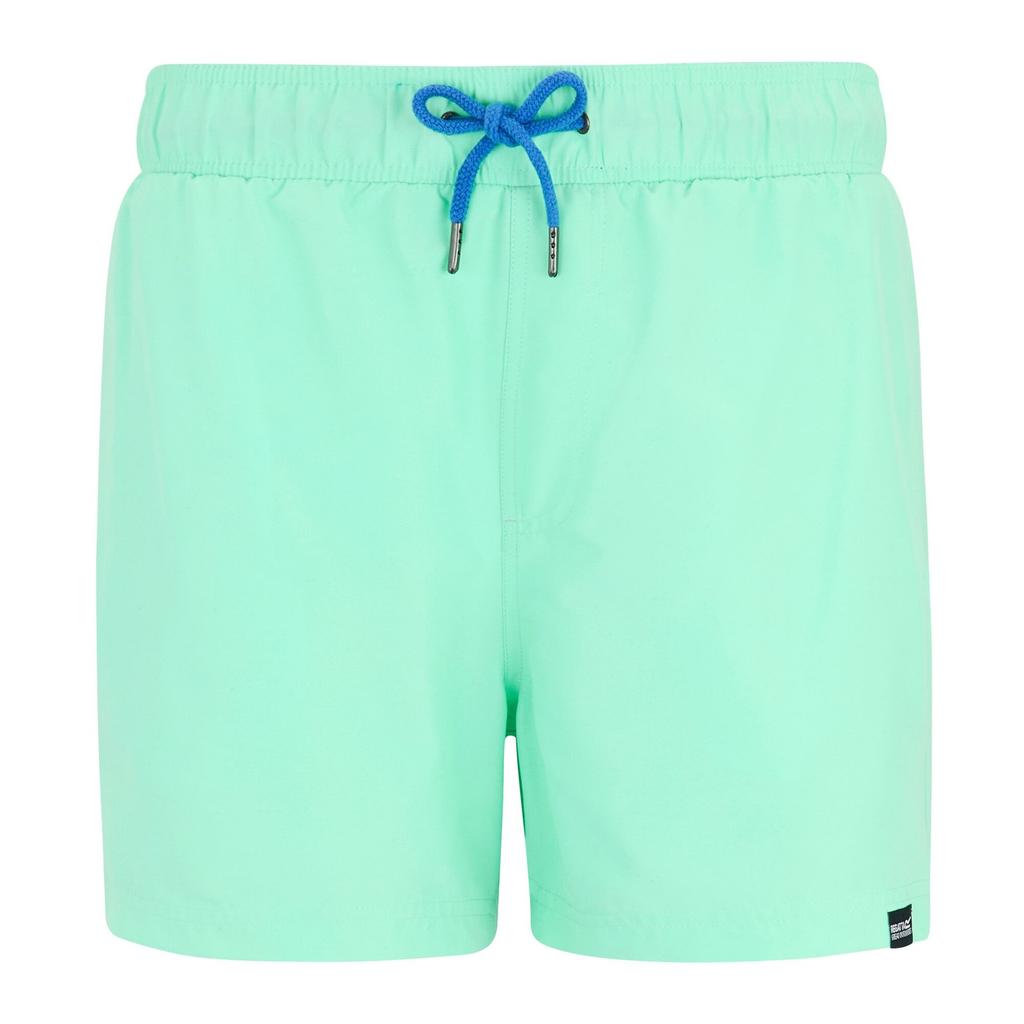 Regatta Mens Mawson II Swim Shorts