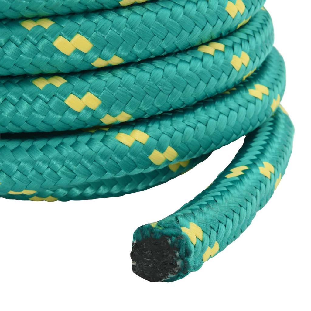 Boat Rope 5 m 3 cm Green PP