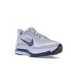 Nike Pegasus Premium Persian Violet Men Sneakers Purple Ghost Black HQ2592-004