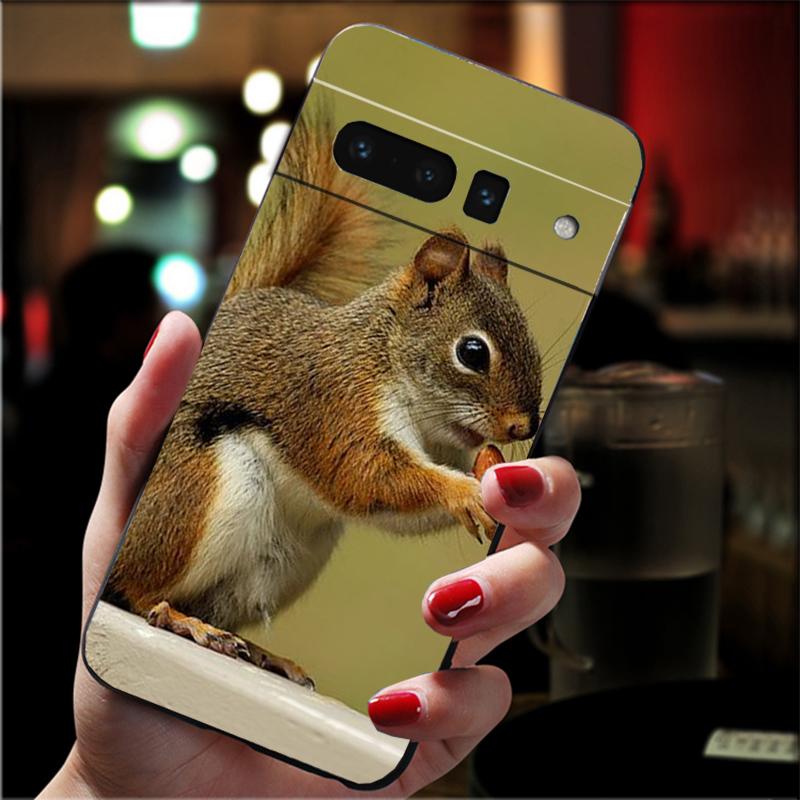 Squirrel Phone Case For Google Pixel 8 7 Pro 7A 7 6A 6 Pro Pixel 8A 4A 3A 4 XL Pixel 5 6 4 3 3A XL