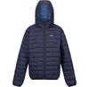 Functional Jacket Regatta Marizion