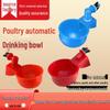 Poultry Automatic Drinking Bowl for Pigeons, Chickens, Ducks, and Geese