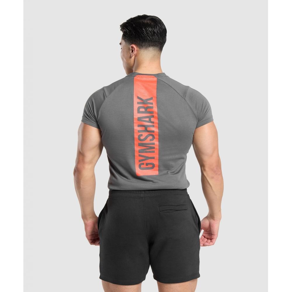 

Футболка GYMSHARK Bold Grey A1A6C GB7Q XS