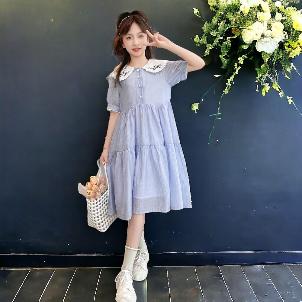 Toddlers Dresses for Girls Children's Dress Summer Kids School Costumes Short Sleeve Casual Princess Dress
