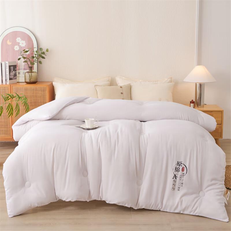 Manya Ju Warm Winter Comforter