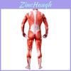 Tuta Integrale Halloween Attack On Titan Scheletro Muscoli Lycra Spandex Tuta Per Tutte Le Taglie