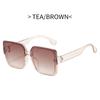 Vintage Classic Square Sunglasses Fashion Women Men Brand Designer Sun Glasses Retro Gradient Outdoor Lady Man Glasses UV400