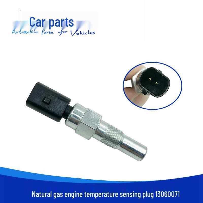 

Natural Gas Water Temperature Sensor Plug 13060071 100R-000017 Car Side