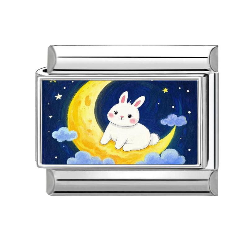 Y2K Lovely Animals Cat Dog Rabbit Moon Butterfly Flower Cactus Italian Charm Fit 9mm Stainless Steel DIY Making Bracelet Jewelry