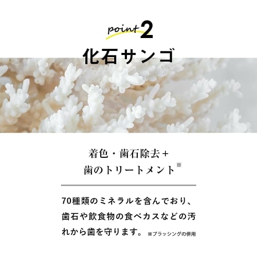 Four Nine Nine 49.9... Whitening Toothpaste 100g [Whitens Teeth, Removes Tartar, and Reduces Bad Breath]