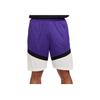 Nike Dri-FIT Icon Color Block Elastic Waist Basketball Shorts Men Shorts Purple DV9525-504