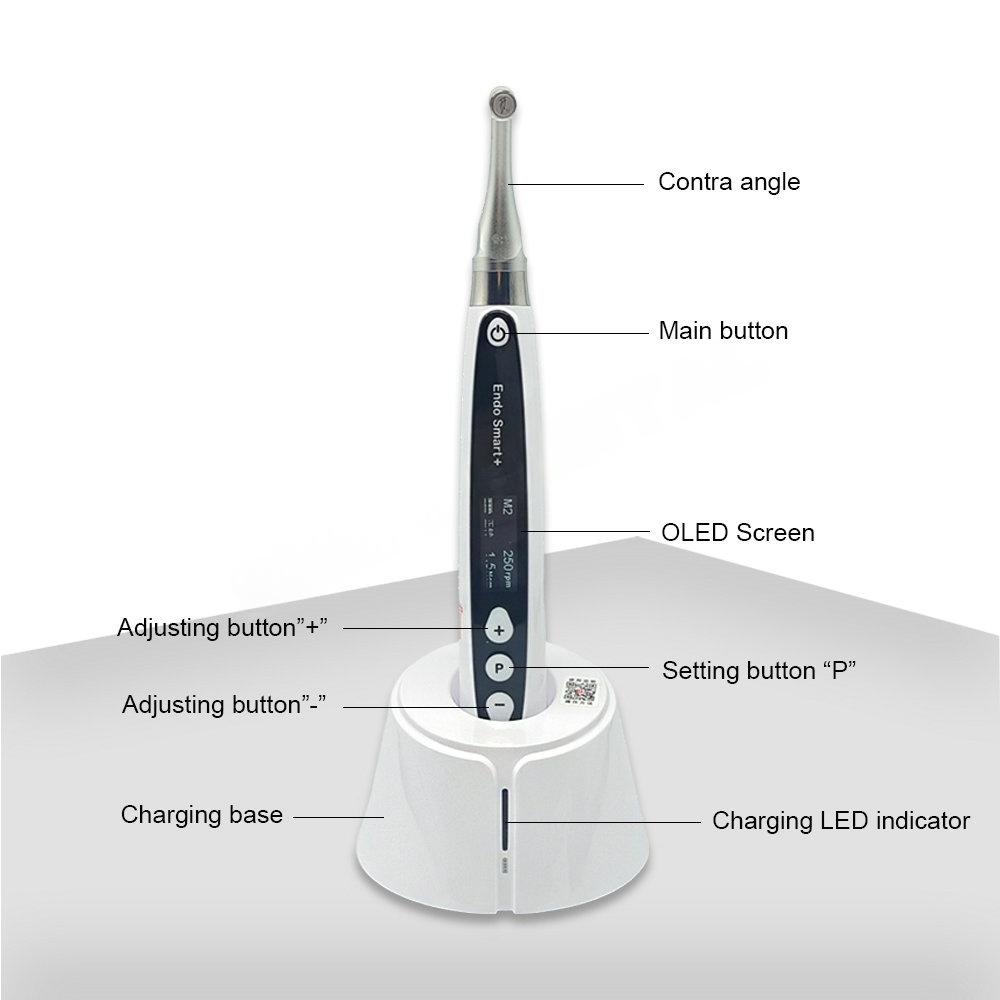 Woodpecker Endo Smart + Dental Endo Motor Root Canal Treatment Instrument Motor Brushless Therapy Endodontico Machine