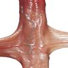 Realistic Dildos for Women Skin Sliding Foreskin Testicles Dildo Anal Vaginal Stimulation Strap On Big Penis Sex Toys for Female