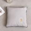 Embroidered Cloud Velvet Cotton Pillow Quilt
