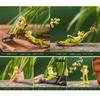 Resin Frog Flower Pot Ornaments Mini Home Micro Landscape Cute Animal Frog Ornament