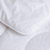 Luolai Laixinya Soft Silk Four Seasons Duvet