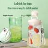 Aesthetic Portable Glass Water Bottle with Handle