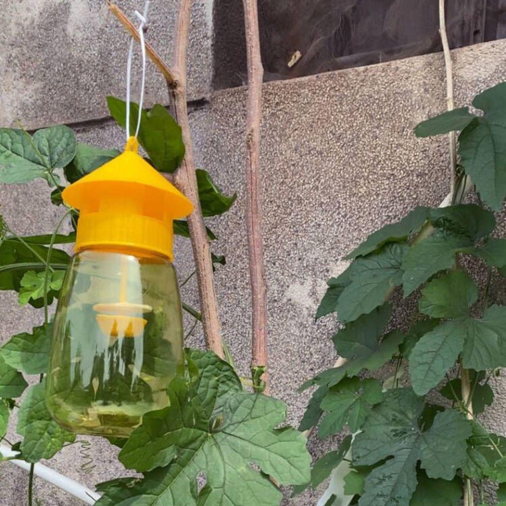 Reusable Fruit Fly Trap Antimosquito Environmentally Hanging Fly Catcher Transparent Plastic Insect Fly Catcher