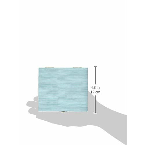 Vivace Baritone Saxophone Reed Case BX-5 (for 5 Reeds) Color: Mint