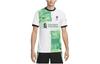 Nike T Shirts Men's White Crew Neck Moderate Straight Fit DX2617-101