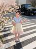 2026 Summer Birthday Girl's Stylish Princess Dress with Gauze Skirt
