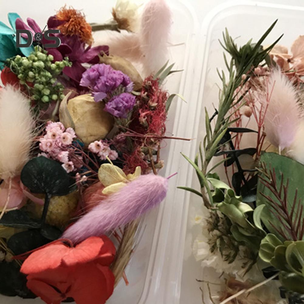 1 Box Preserved Dried Plant DIY Candle Jewelry Making Craft Decor