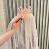 Sparkly Princess Crown Veil Headband Tulle Pink White Sequin Birthday Party Headwear Hair Accessories Glitter Dress Up Headbands