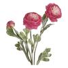 Faux Ranunculus Asiaticus Reusable Artificial Flower Fake Ranunculus Flower for Living Room Dining Table Centerpiece Farmhouse Decor