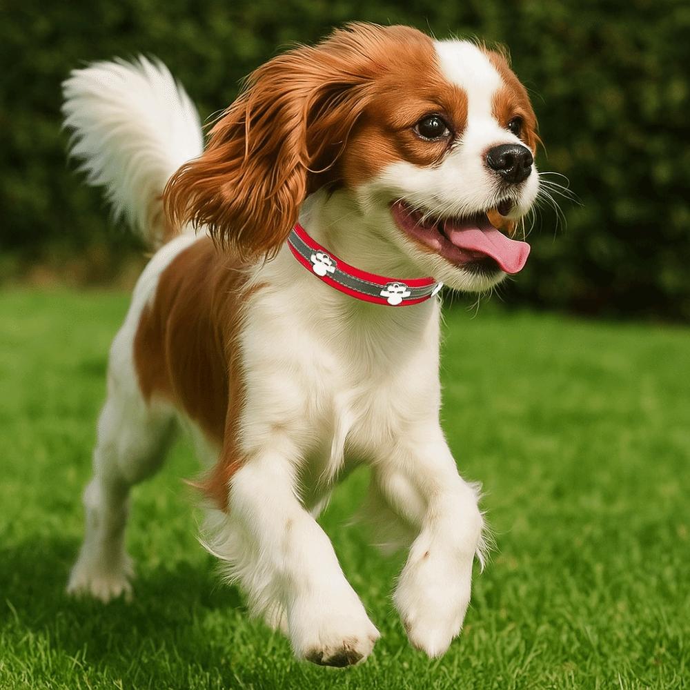 Cute Leather Reflective Dog Collar Adjustable Metal Buckle Dog Footprint Collar Soft Decorative Dog Necklace Outdoor Activities