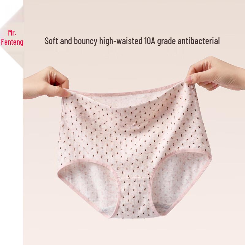 

Fenteng Women s Antibacterial Cotton High-Waist Briefs 2XL