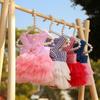 Dog Dress Girls Summer Clothes for Dogs Cat with Bowknot Clips Lace Striped Pet Suspenders Puppy Princess Dresses Dog Tutu Skirt