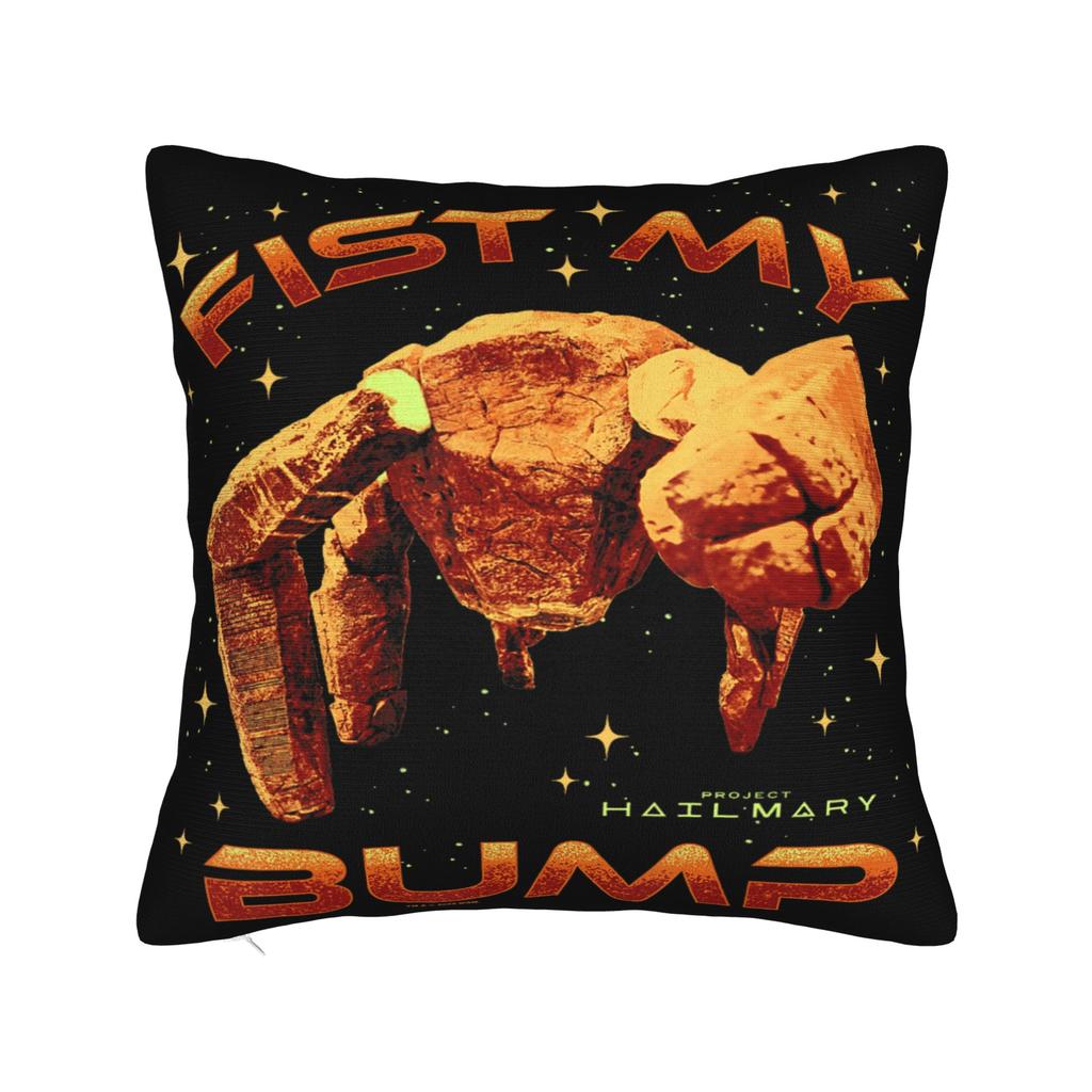 Project Hail Mary Rocky AMAZE Pillow Cover Cute Funny Pillow Case For Sofa Couch Bed Living Room Comfy Cushion Cover Gift