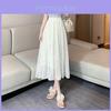 Chiffon Stippen Geplooide Rok Met Hoge Taille Voor Dames Lente