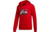 Men's Neo Sweatshirts Men's Red Hooded Moderate Other