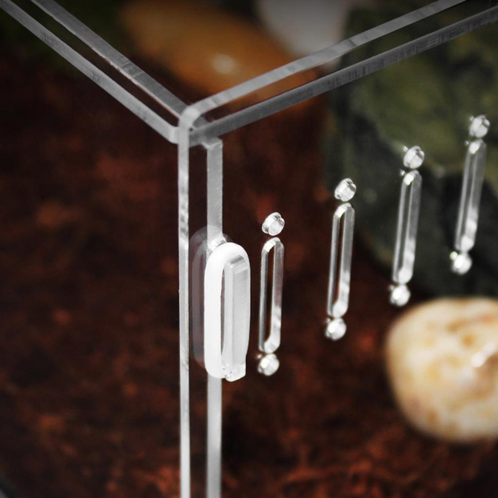 Insect Feeding Box Acrylic Transparent Breeding Cases for Spiders Reptiles Lizards Centipedes Small Snake 2 Size