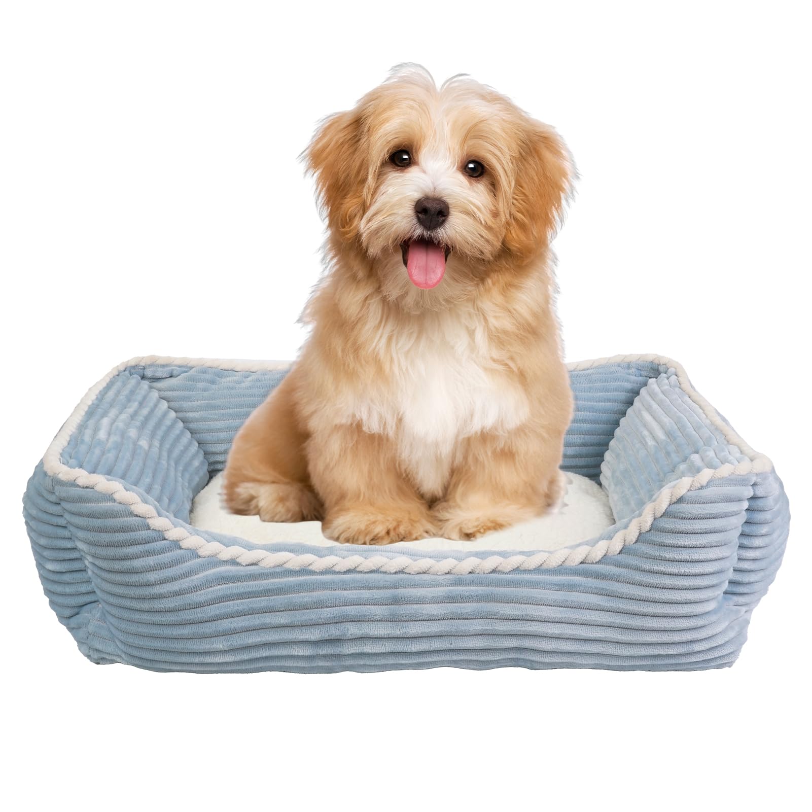 

JinYin Домашнее животное Собака Кошка Домашнее животное Домашнее животное Холодное кондиционирование Подходит для собак и кошек Одна кровать, Кровать, Кровать, Подушка, Диван, Квадратный, Тепло, Защита, Осень/Зима синий